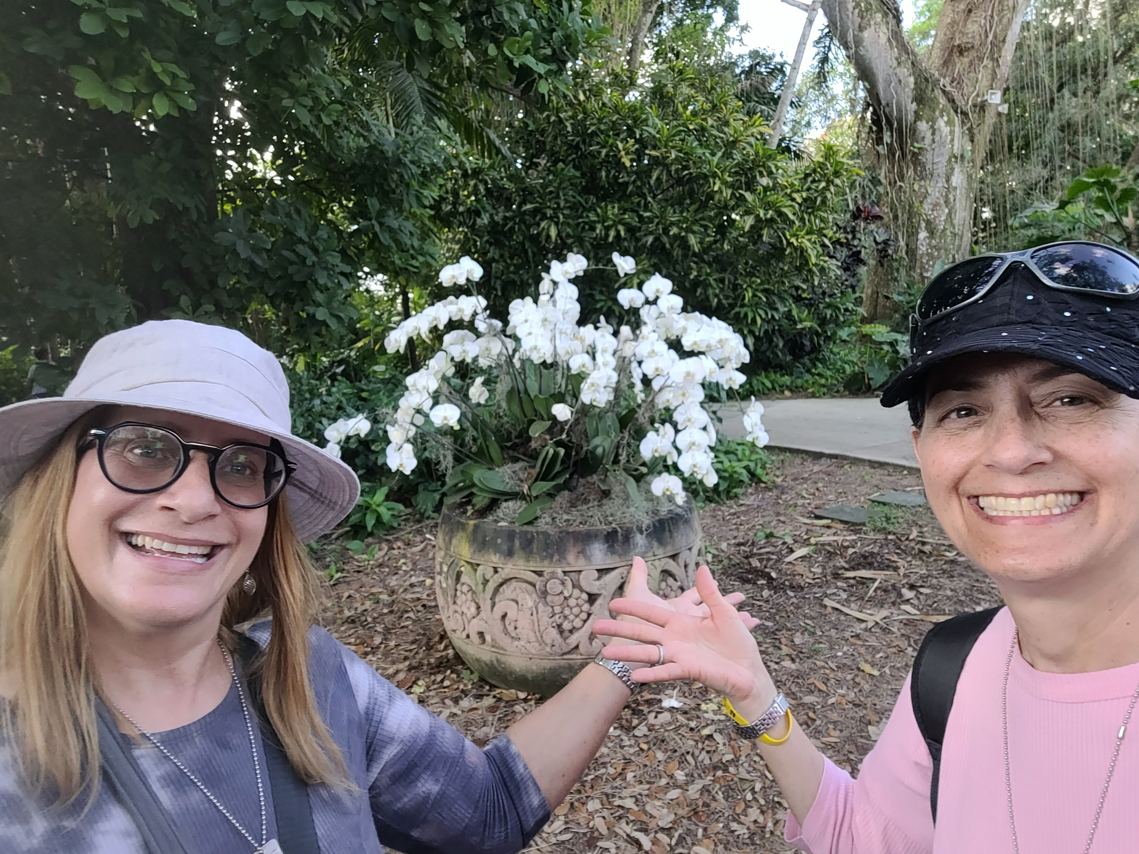 Phyllis Hecht Memory Gallery